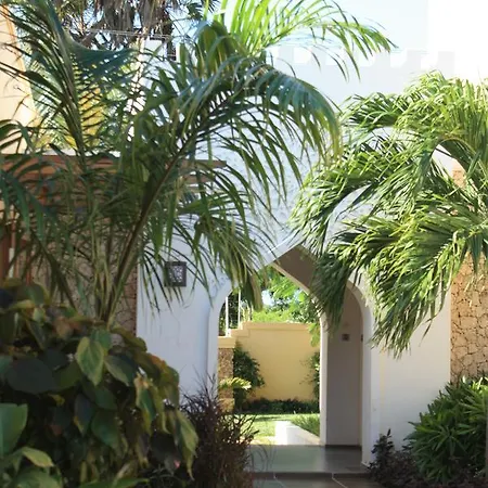Galu Tulivu * Gazi
