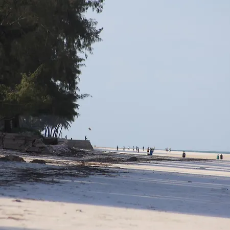 Galu Tulivu Villa *